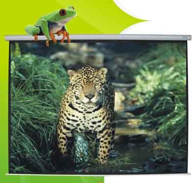 <table border=0 width=300><tr><td width=70><b>ӫ~W</b>G</td><td>99"uտù70"*70"(tw)</td></tr><tr><td width=70><b>ӫ~</b>G</td><td>줽P䲣~</td></tr><td width=70><b>ӫ~s</b>G</td><td>CJ3-CD1</td></tr><tr><td><b>s</b>G</td><td>2695</td></tr><tr><td><b>ӫ~²</b>G</td><td>ƦUؤؤo,OҶWC wP~f"(tw)w˥t[500(WORK-D-CD21)
tW183*H193CM
t70*70 80*60 84*84 96*72 120*96 87*49 104*59(:^T)
</td></tr></table>